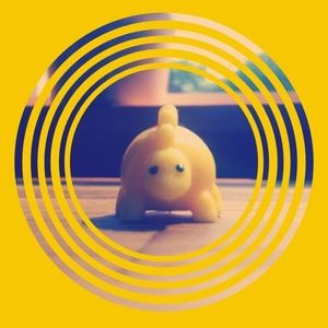 Meet your Posher, Logan